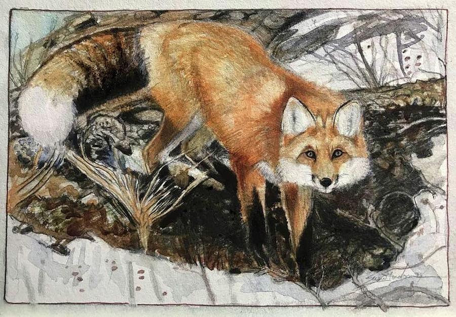 Fox Painting - Sudden Halt Fox by Susie Gordon