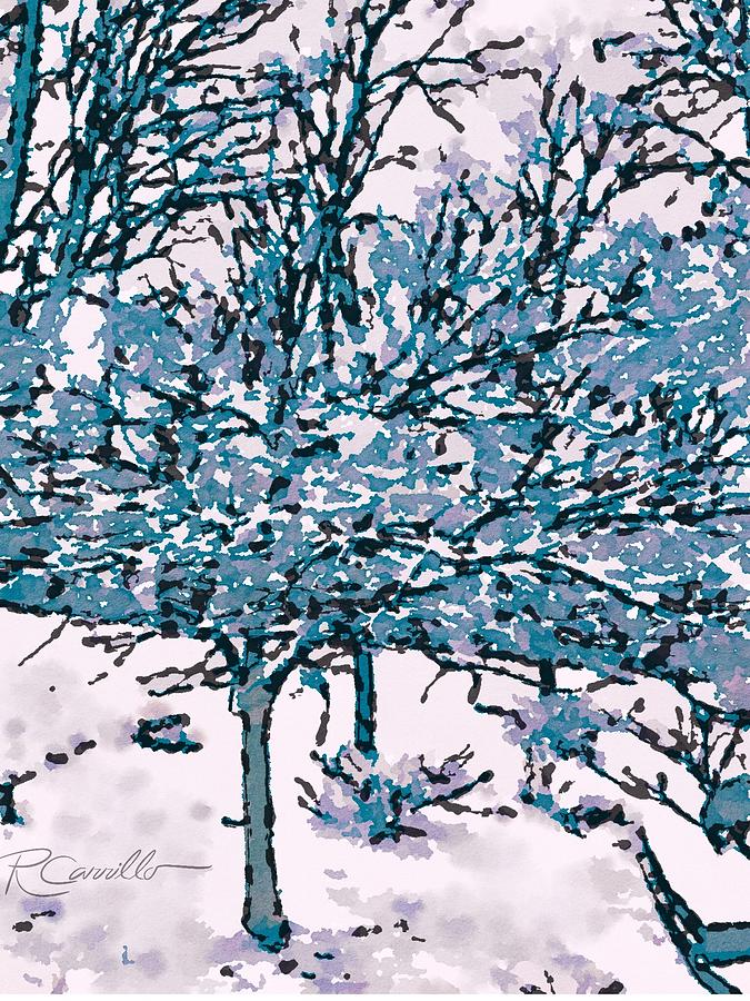 Sudden Snow in Blue Photograph by Ruben Carrillo