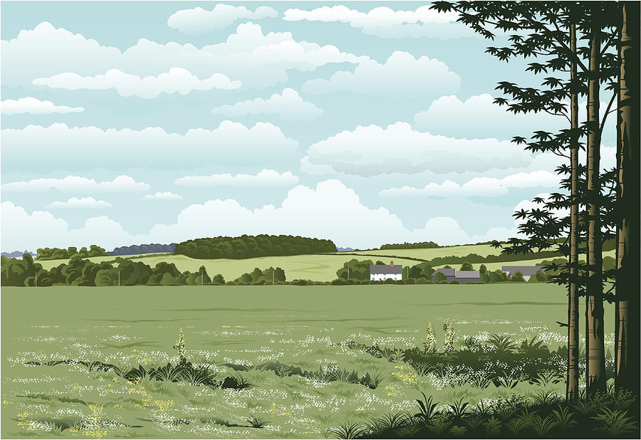 Suffolk woodland. Drawing by Johnwoodcock