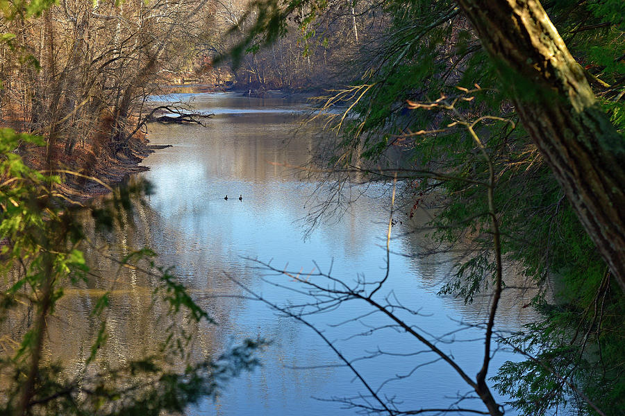 Sugar Creek at Turkey Run State Park Photograph by Robert Tubesing ...