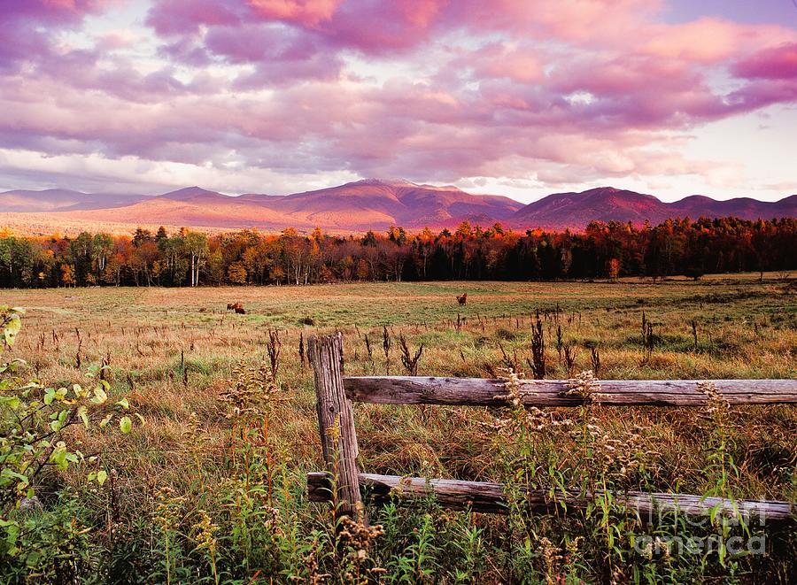 Sugar Hill autumn colors at sunset Photograph by Michael McCormack