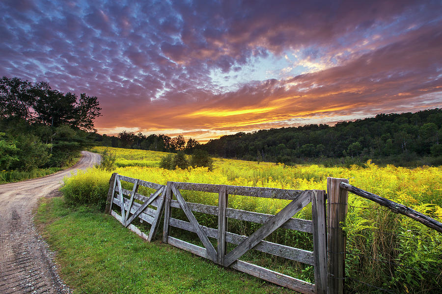 Sugar Hill Goldenrod Sunset Photograph by White Mountain Images
