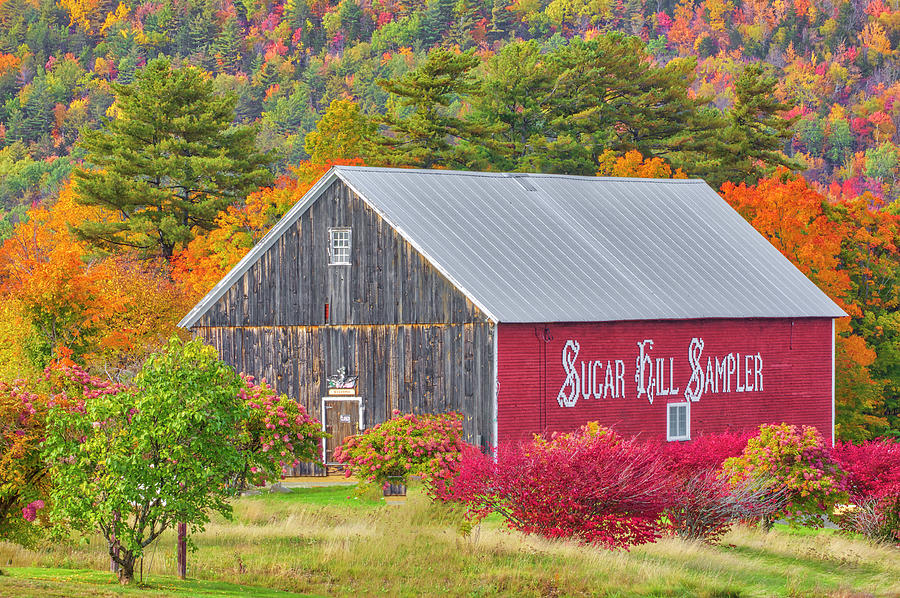 Sugar Hill Sampler New Hampshire White Mountains  Photograph by Juergen Roth