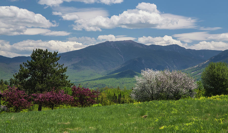 Sugar Hill Spring Afternoon Photograph by White Mountain Images