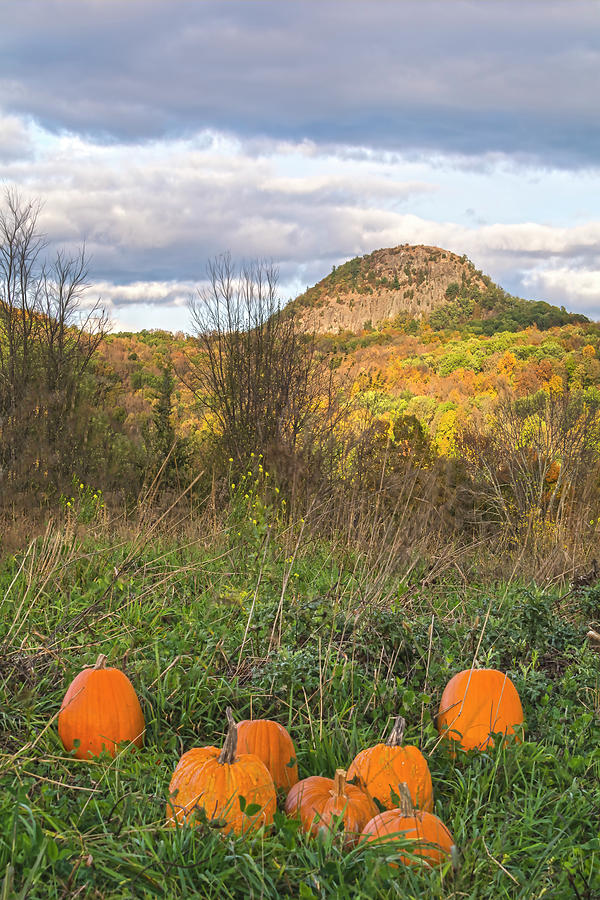 Sugar Loaf Mountain Pumpkins Photograph by Angelo Marcialis