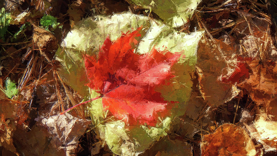 Sugar Maple and Redbud Painting Digital Art by Garth Glazier