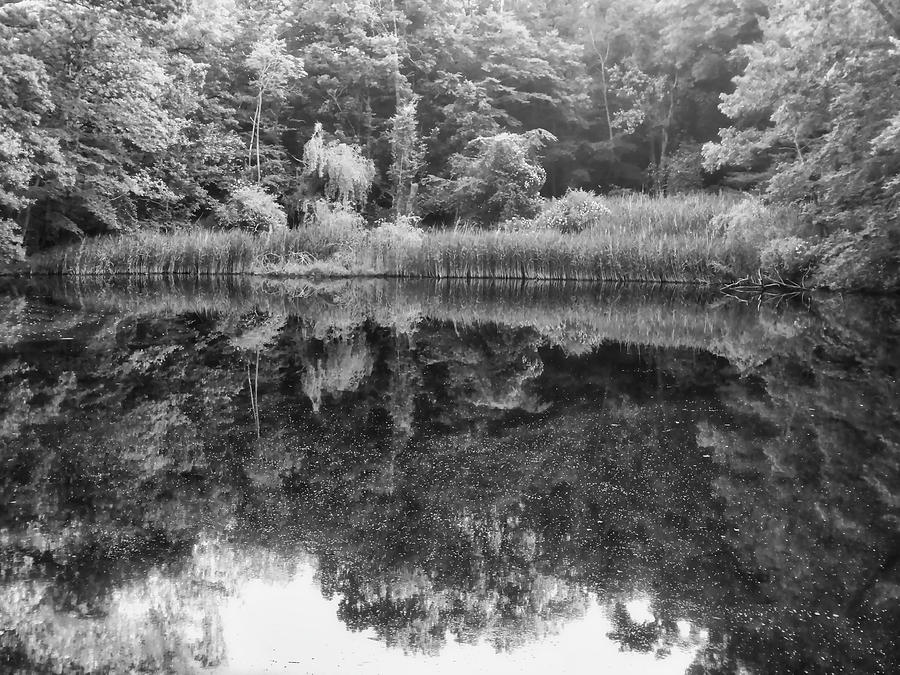Sugar Pond Black and White Photograph by Russ Considine
