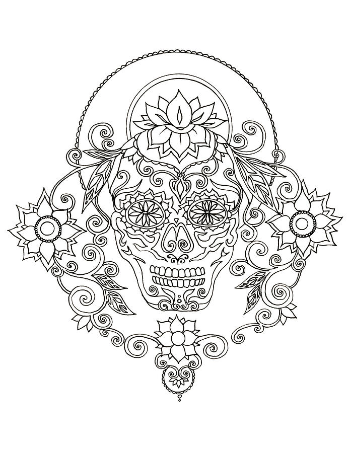 Sugar Skull Design Line Art Drawing by Katherine Nutt Pixels