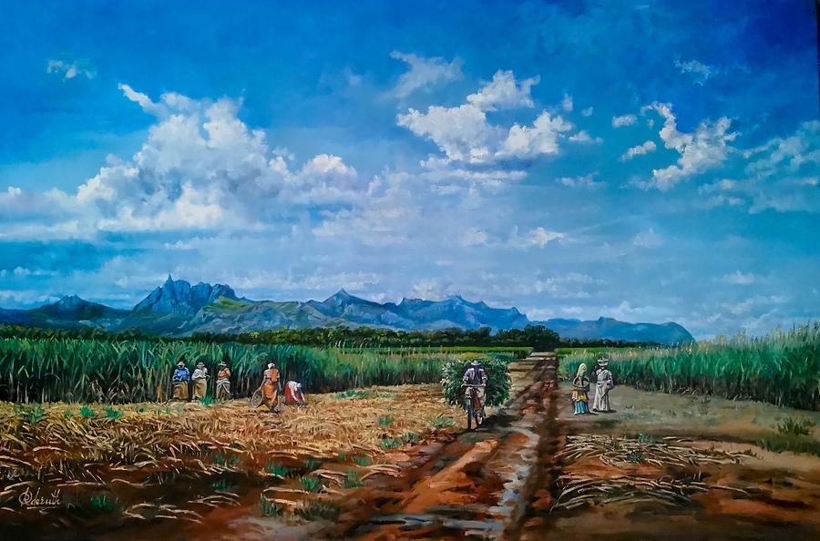 Sugarcane fields, Mauritius Painting by Raouf Oderuth