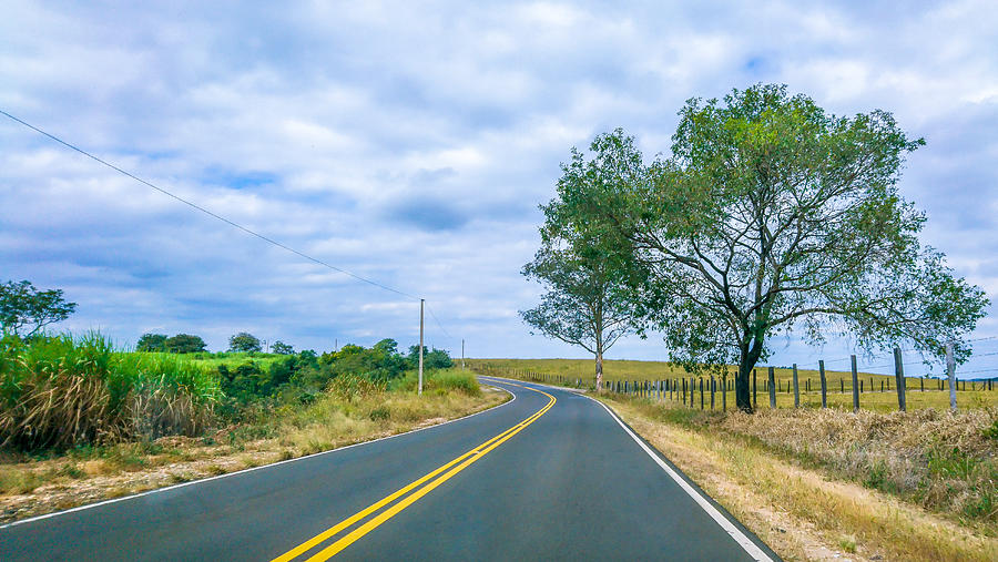 Sugarcane plantations are crossed by roads and highways in the rural area of Piracicaba. Photograph by CRMacedonio