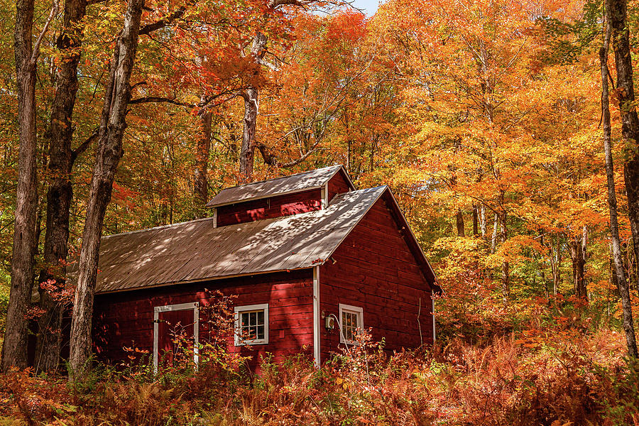 Sugarhouse in Fall - Danville Photograph by Tim Kirchoff