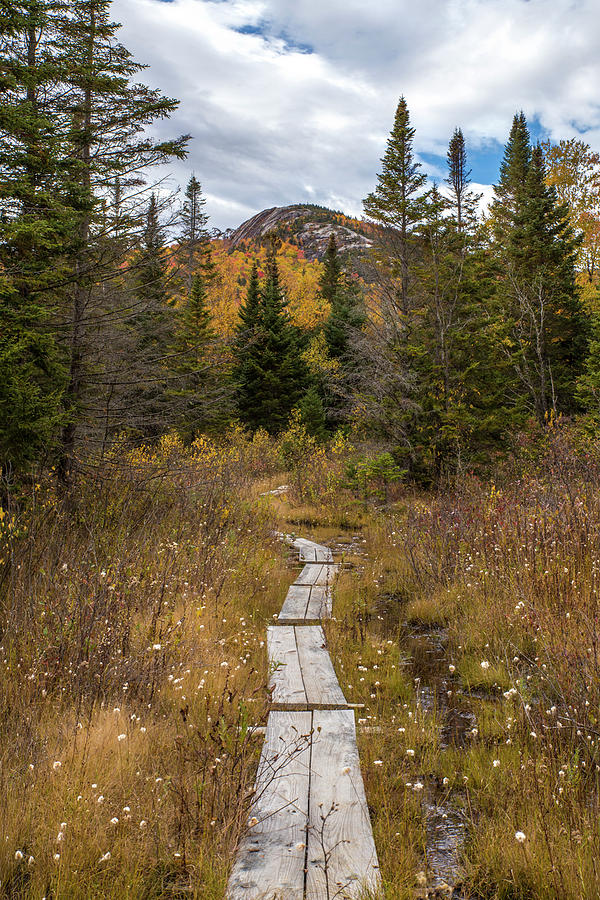 Sugarloaf Autumn Path Photograph by White Mountain Images
