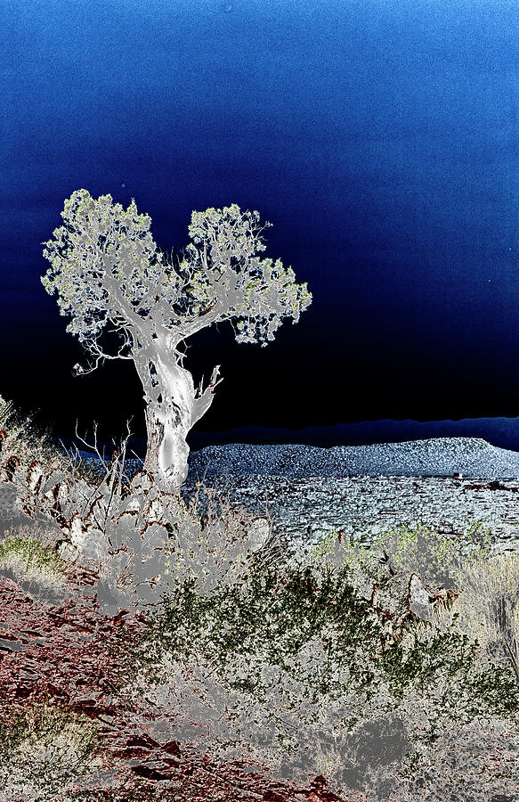 Sugarloaf Hike-Solarized Photograph by Tom Singleton