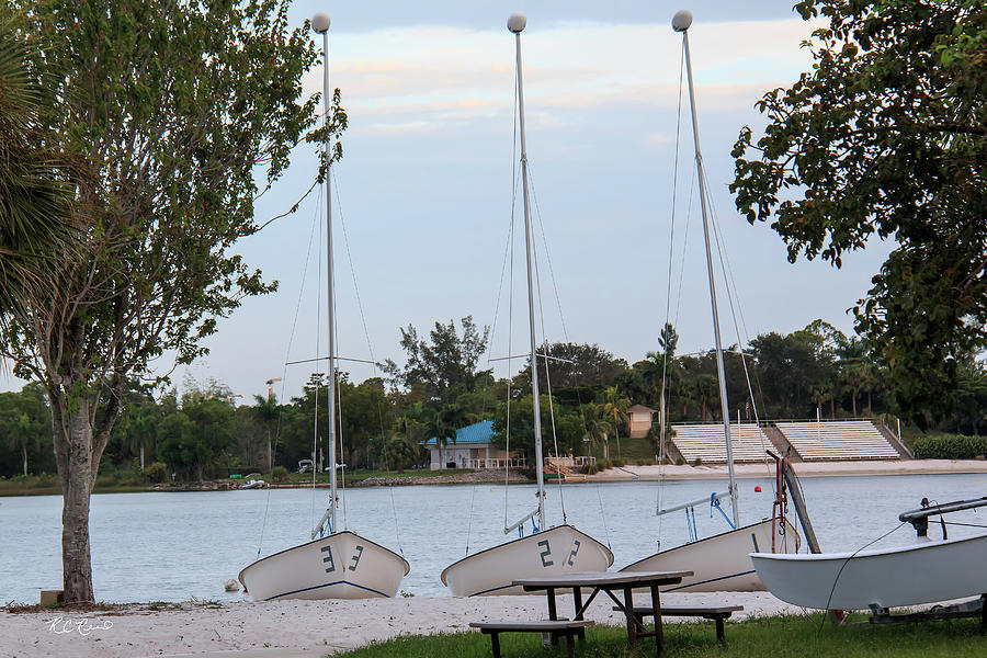 Sugden Regional Park - Sailboats Ready for Sailing on the Lake Photograph by Ronald Reid