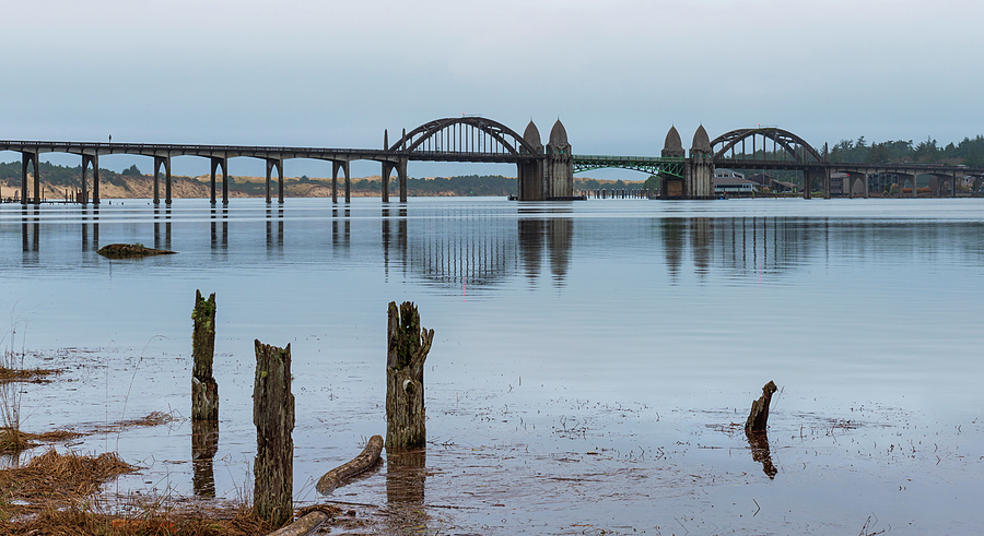 Suislaw River Bridge Photograph by Loree Johnson