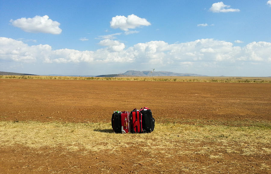 Suitcases at Masai Mara Photograph by Universal Stopping Point Photography
