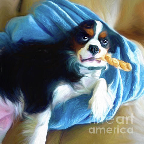 Cavalier King Charles Spaniel - 2 Photograph by Sue Melvin