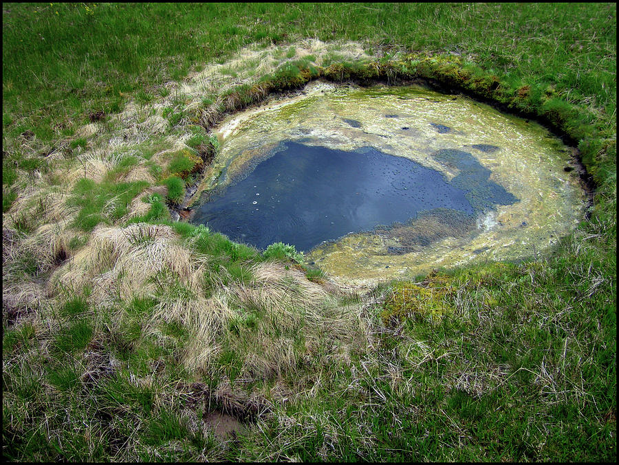 Sulphur Spring Yellowstone National Park 2005 Photograph by Photographs ...