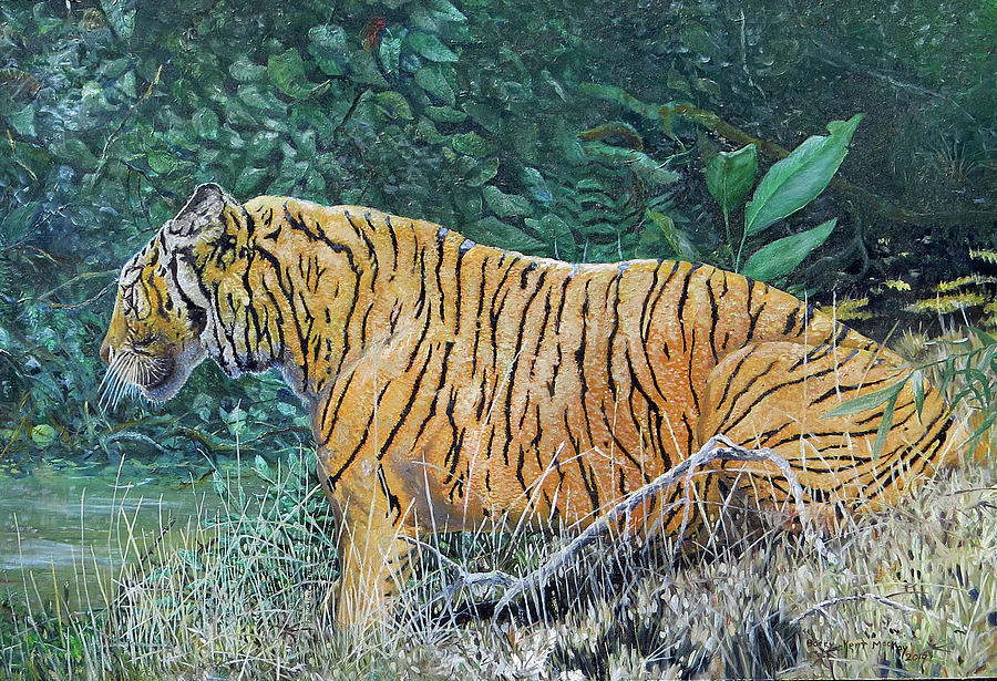 Sumatran Tiger Painting by Barry Kent MacKay