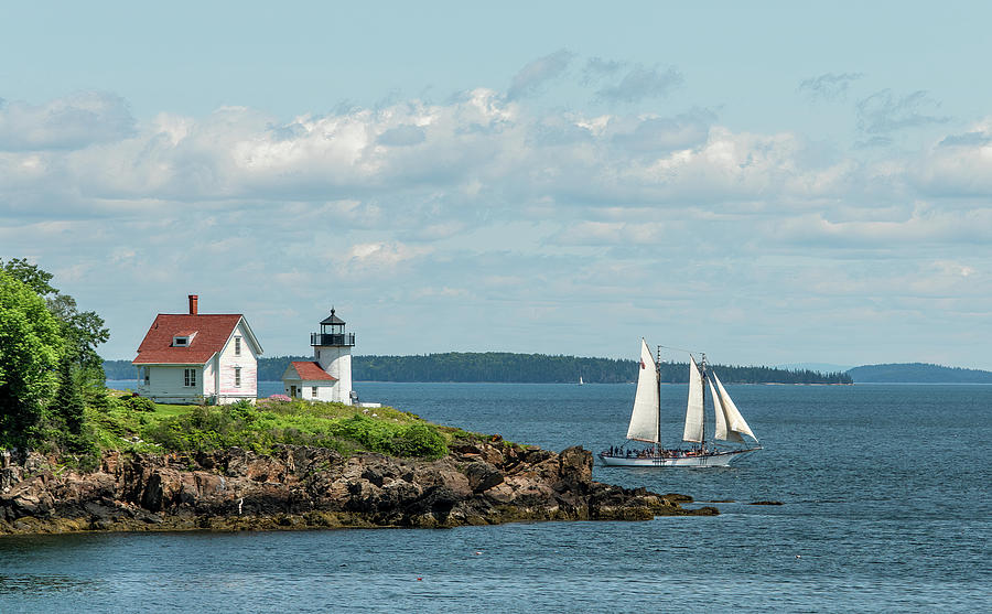 Summer Afternoon at Curtis Island Lighthouse, Maine Photograph by Marcy Wielfaert