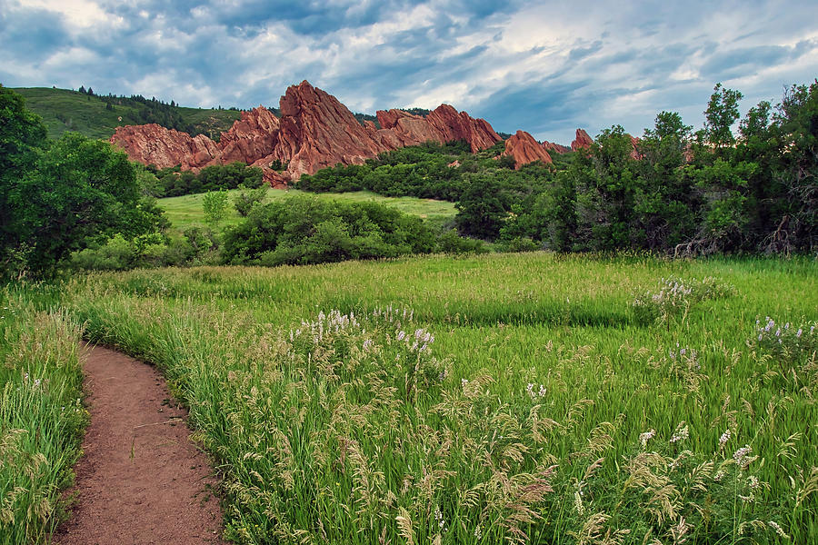 Summer Among The Red Rocks Photograph