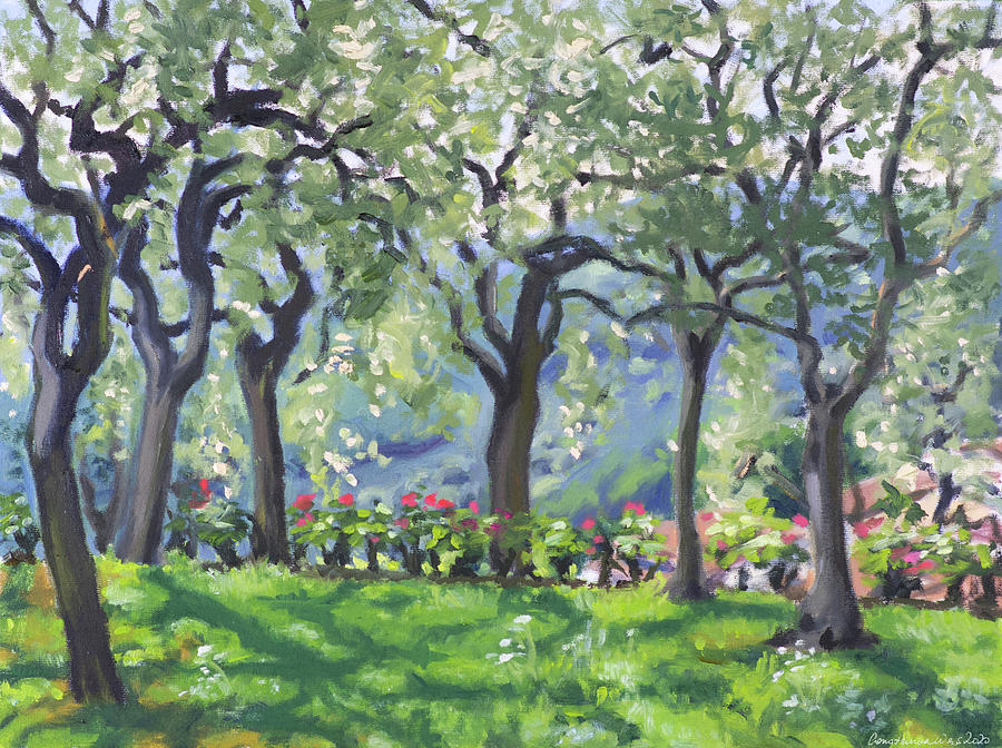 Summer at olive grove Painting by Constanza Weiss