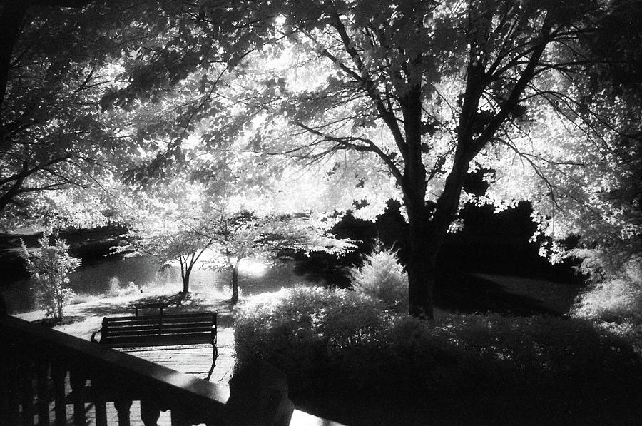Summer at Quiet Waters No.7 - Infrared Black and White Film Photograph Photograph by Steve Ember
