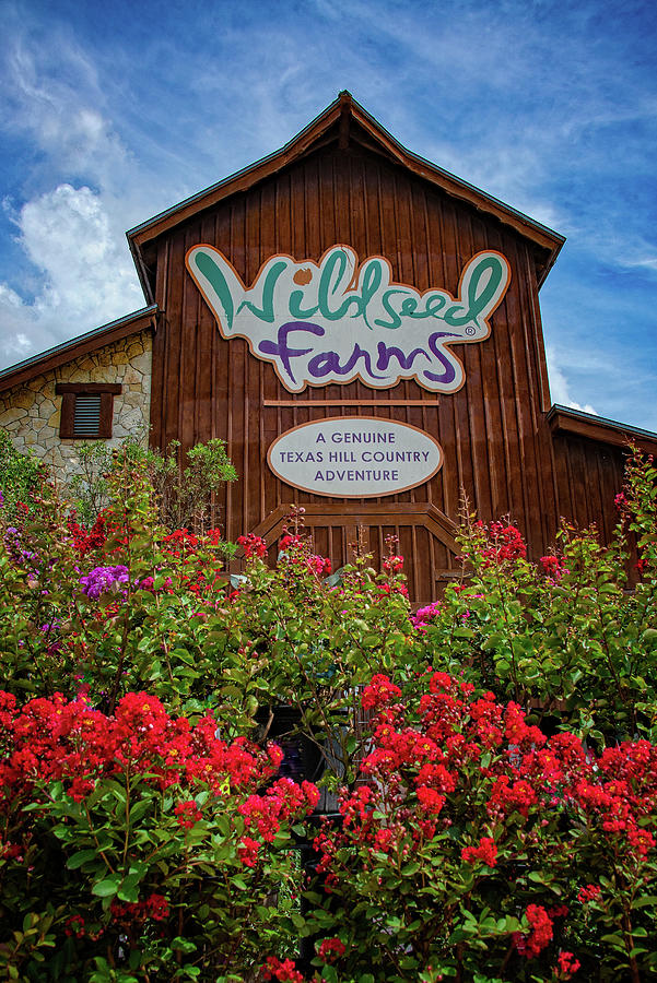 Summer at Wildseed Farms vertical Photograph by Lynn Bauer