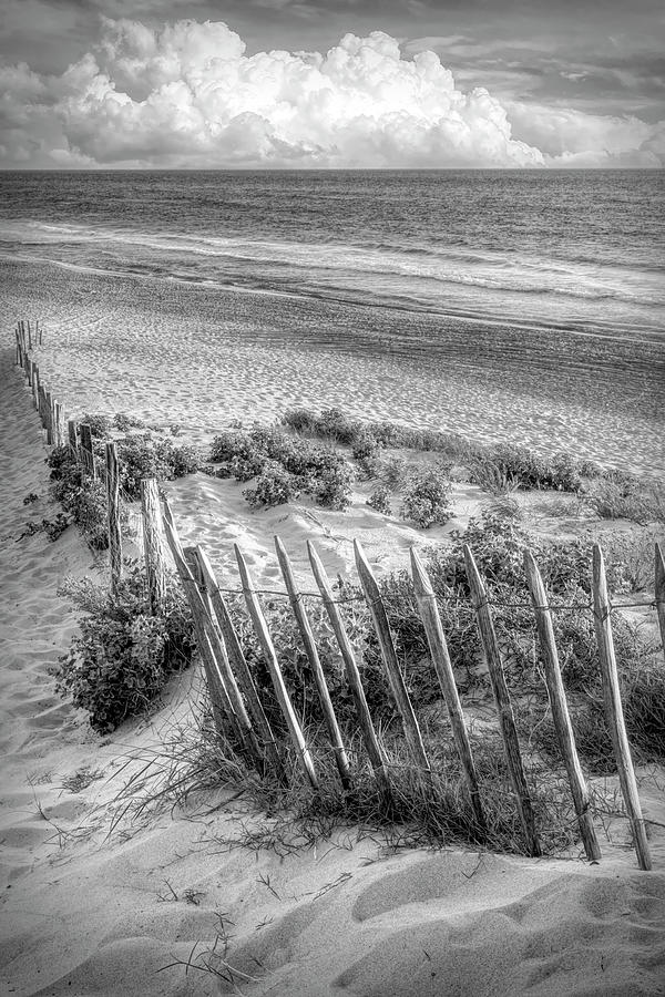 Summer Beach at Sunset Black and White Photograph by Debra and Dave Vanderlaan
