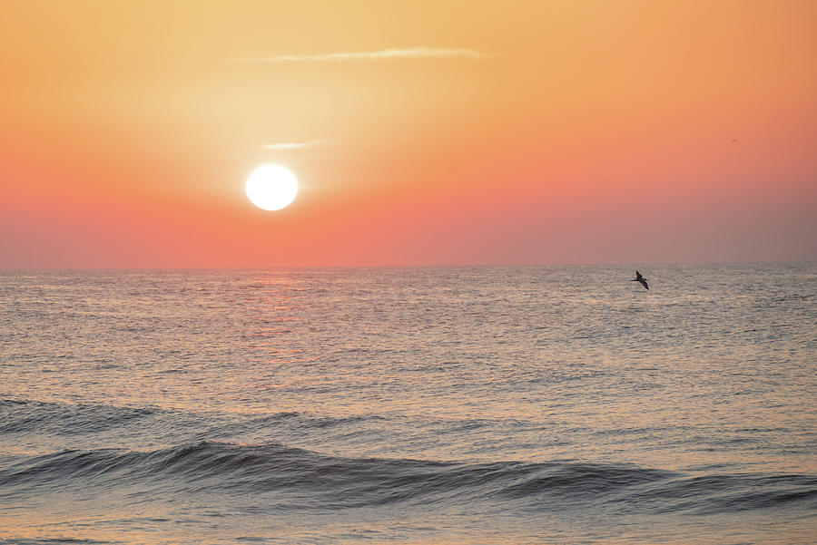 Summer Beach Sunrise Photograph by Matthew DeGrushe