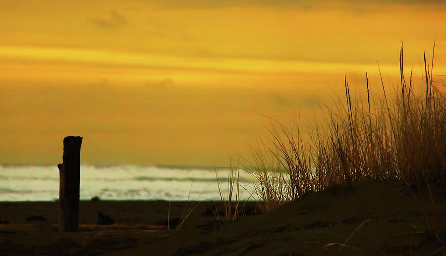Sunset Photograph - Summer Beach by Vernon Platt