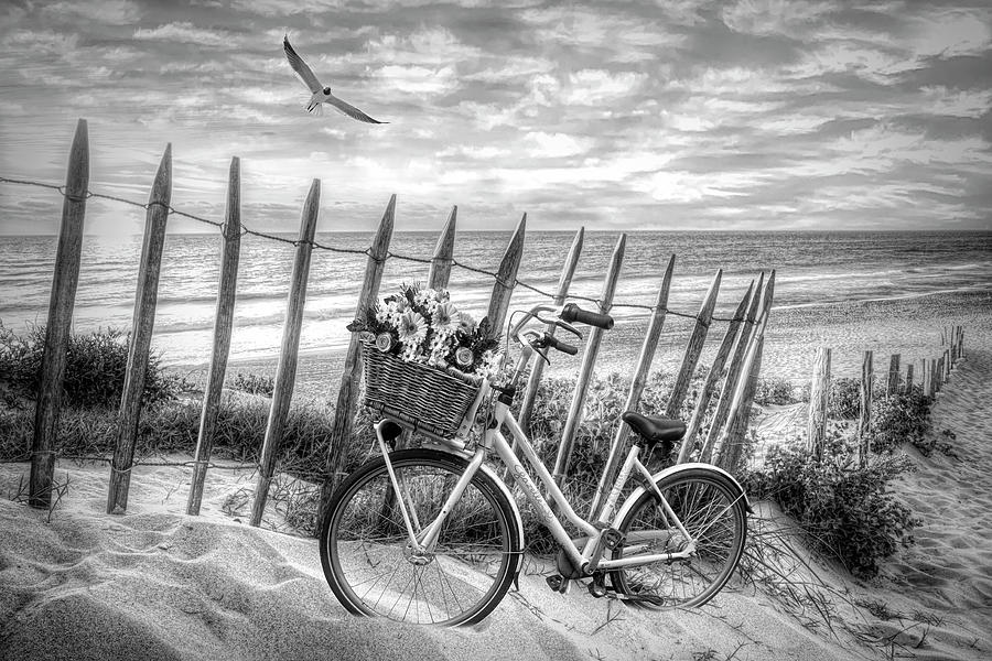 Summer Bicycle at Sunset in Black and White Photograph by Debra and Dave Vanderlaan