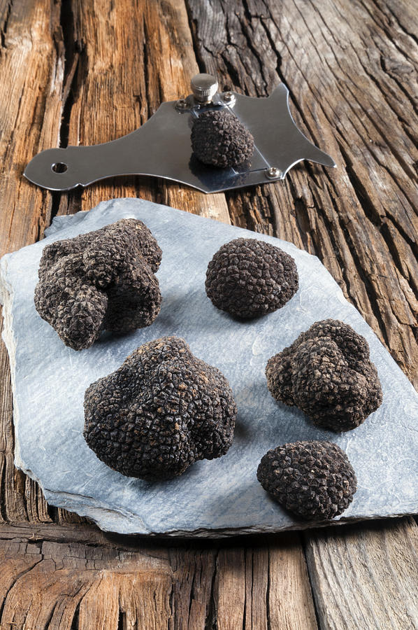 Summer black truffles Photograph by Nico Tondini