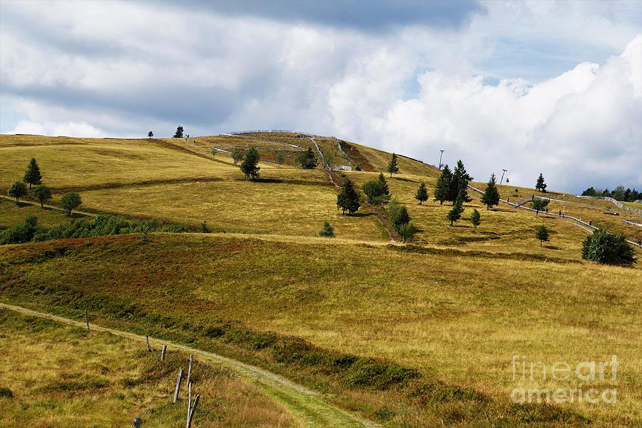 Summer Bob Track On Le Markstein Mountain In The Vosges Photograph