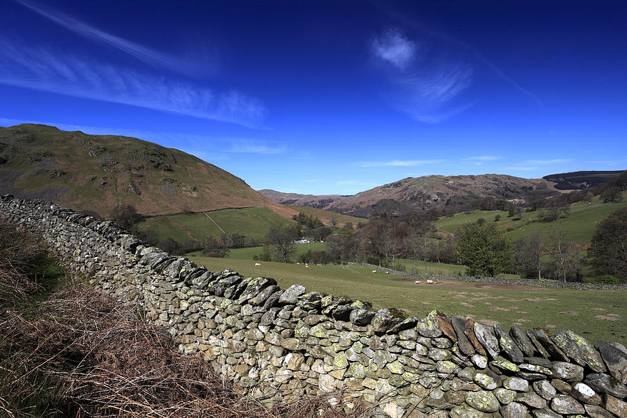 Summer, Boredale valley, Lake District Photograph by Dave Porter Peterborough Uk
