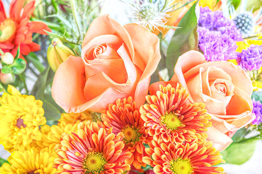Summer Bouquet Photograph by Susan Hope Finley