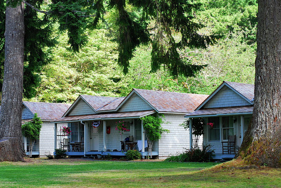 Cabins Photograph - Summer Cabins at Lake Crescent by Connie Fox