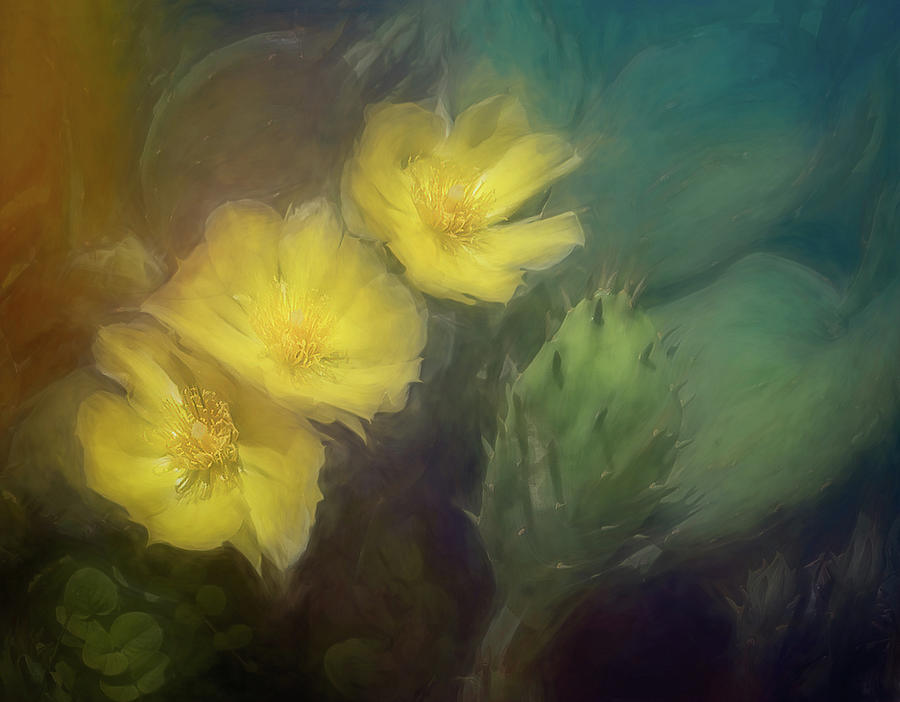 Summer Cactus Flower Photograph by Sylvia Goldkranz