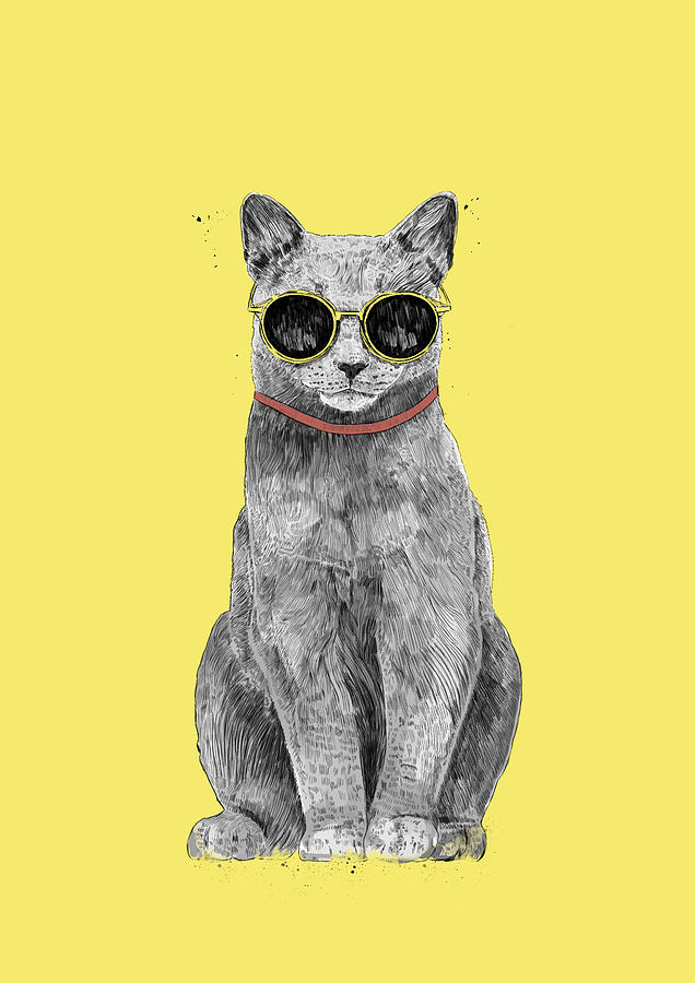 Animal Drawing - Summer Cat by Balazs Solti