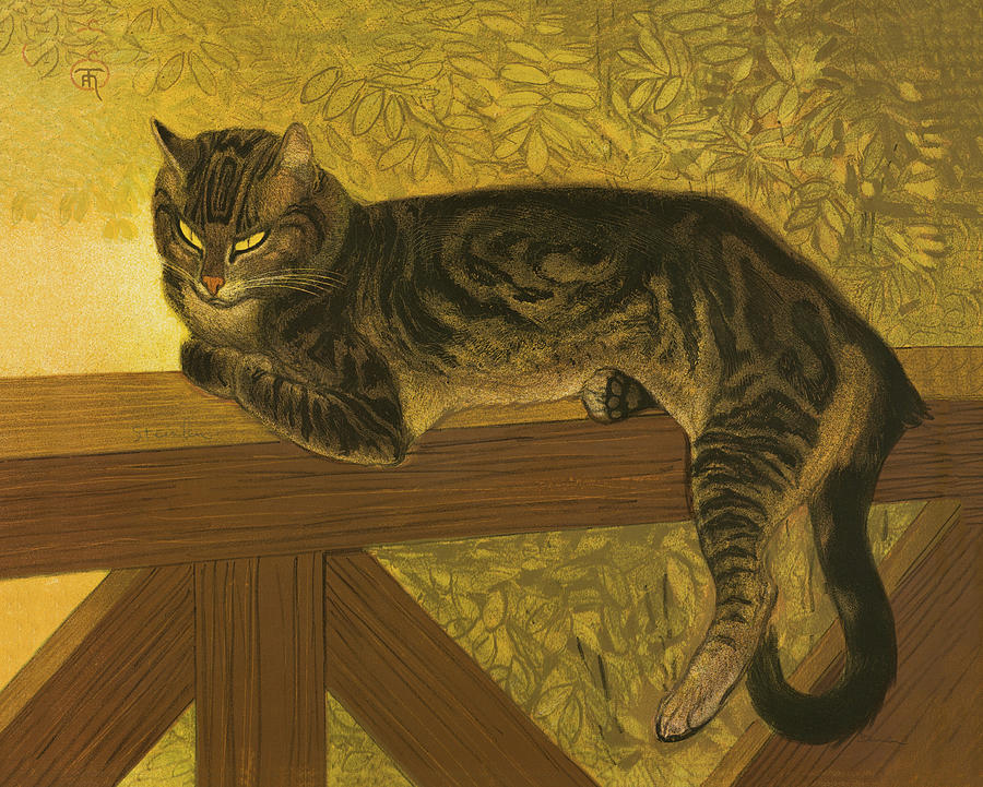 Summer Cat on Balustrade Vintage Cat Portrait by Timeless Gallery