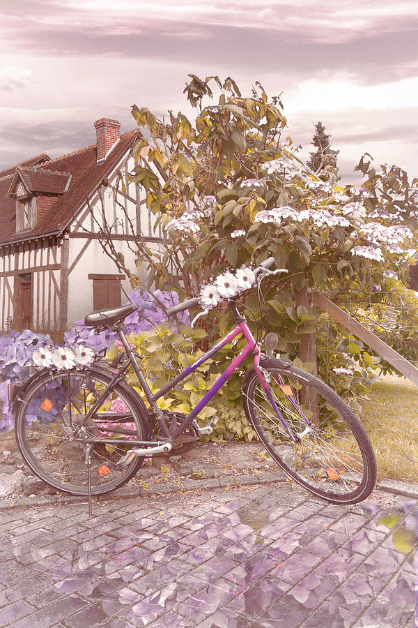 Summer Cycling in Farmhouse Flowers Photograph by Debra and Dave Vanderlaan