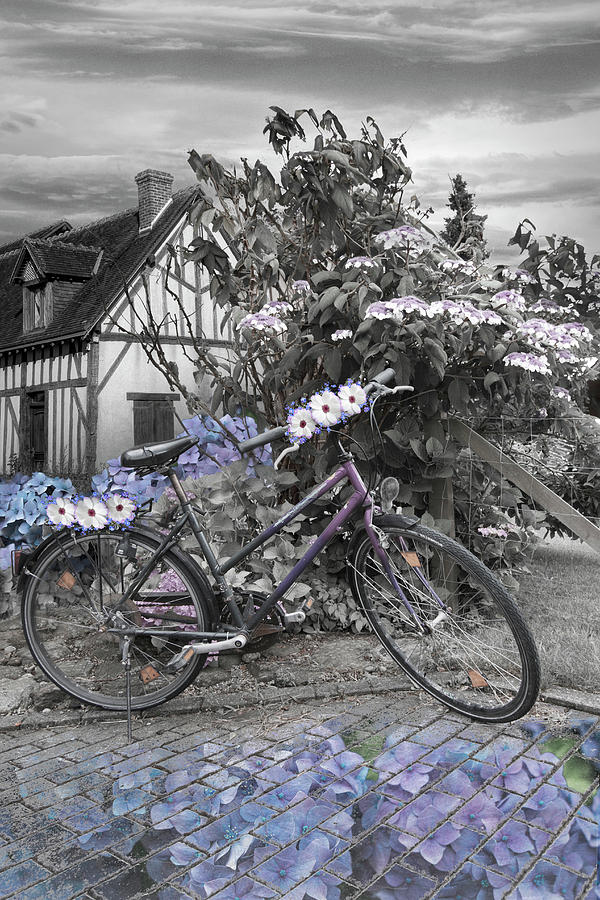 Summer Cycling in Flowers Black and White and Blues Photograph by Debra and Dave Vanderlaan