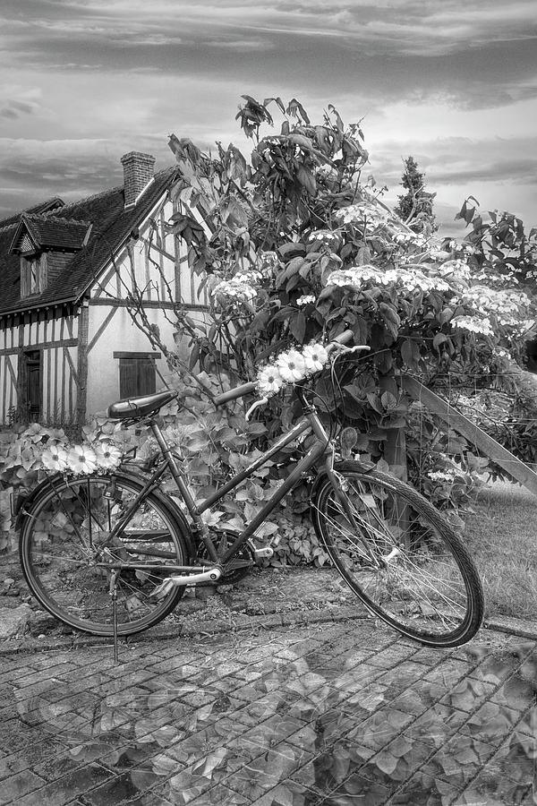 Summer Cycling in Flowers Black and White Photograph by Debra and Dave Vanderlaan