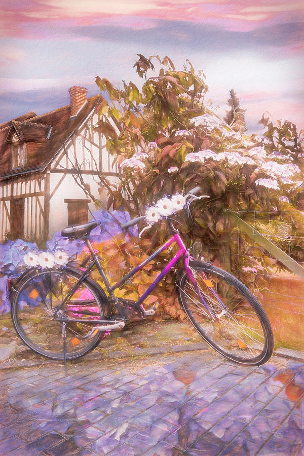 Summer Cycling in Flowers Painting Photograph by Debra and Dave Vanderlaan