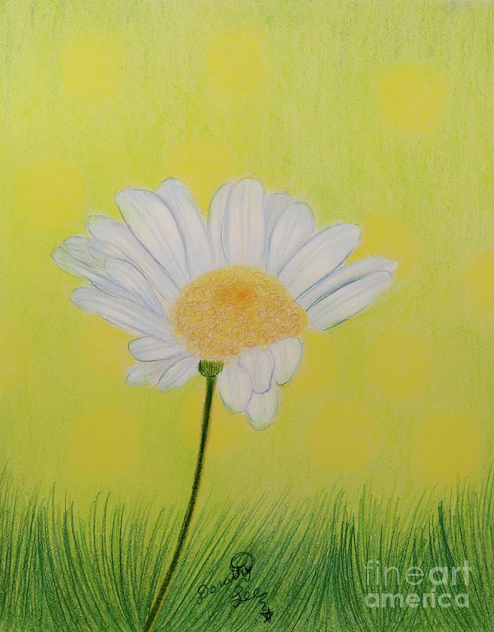 Summer Daisy Painting by Dorothy Lee