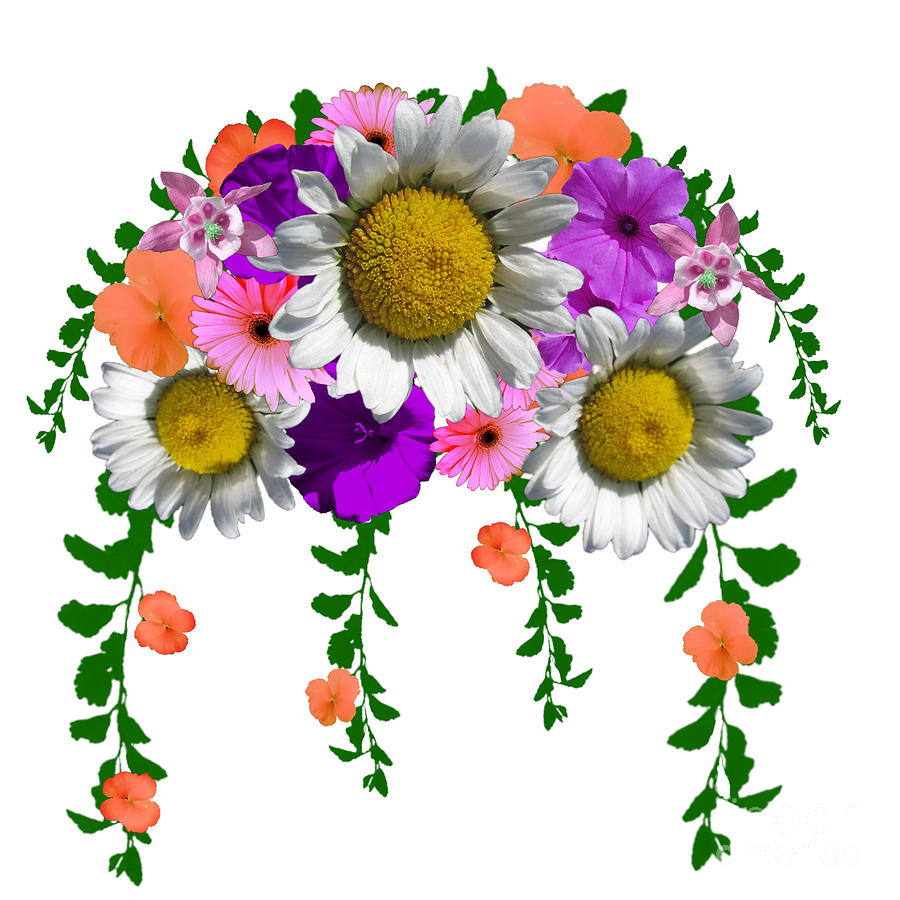 Summer Daisy Floral Bouquet Digital Art by Delynn Addams
