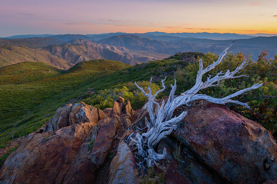 Summer Dawn at Garnet Peak Photograph by Alexander Kunz