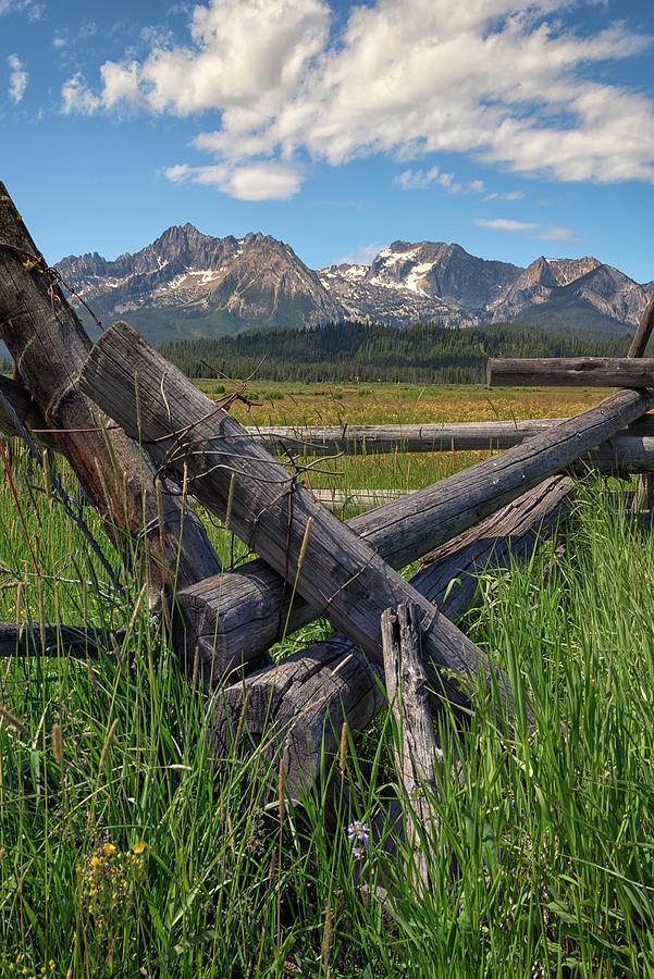 Summer Day in the Sawtooth Valley Photograph by Kristen Wilkinson