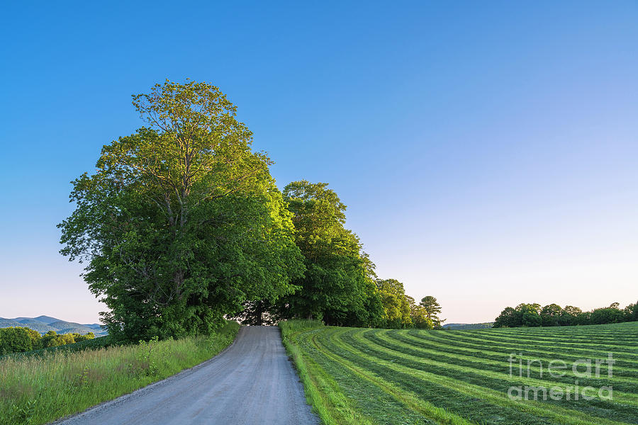 Summer Evening Back Road Photograph by Alan L Graham