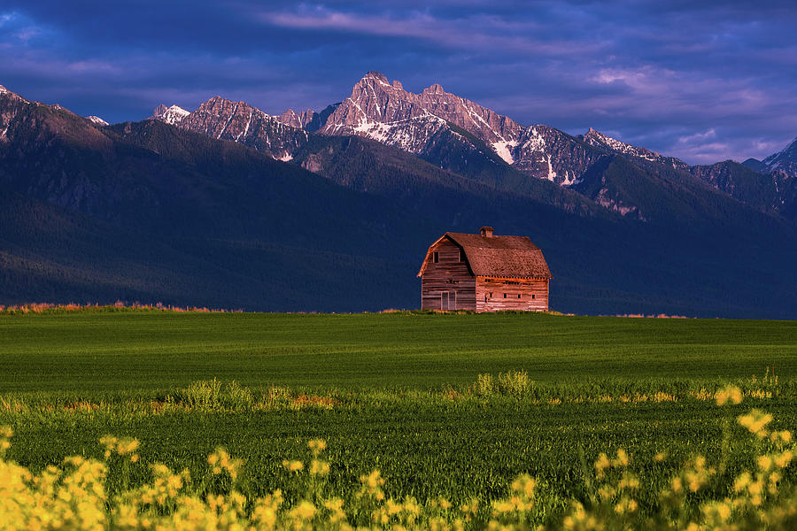 Summer Evening in Montana Photograph by Darren White